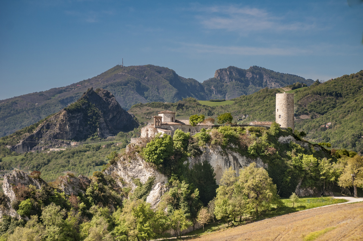 ViVi il Verde - Passeggiate patrimoniali 2025